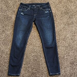 Silver Jeans Elyse Skinny Mid Rise Women's  Size 27